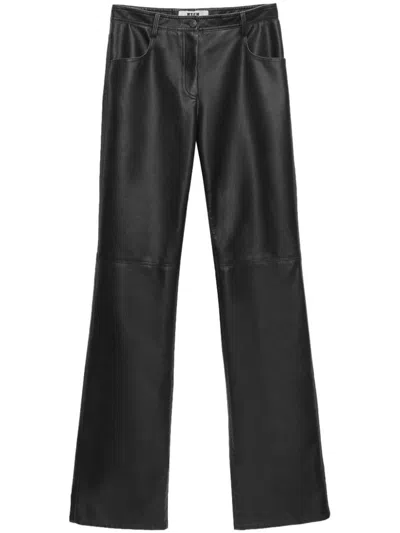Msgm Pants In Black
