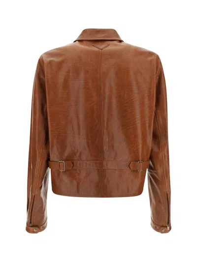 Prada Jackets In Palissandro
