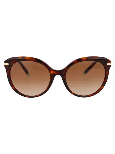 Tiffany & Co Cat Eye Sunglasses 0 Tf4189 B 80023 B In 80023b Havana