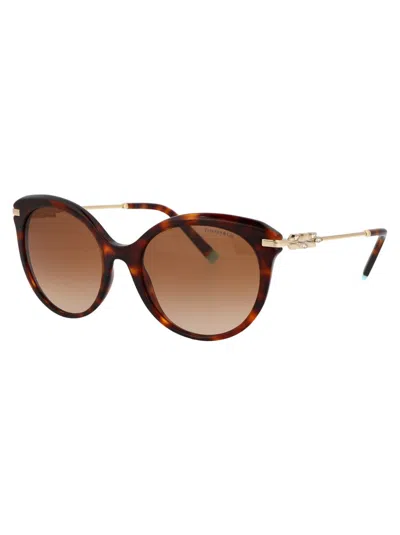 Tiffany & Co Cat Eye Sunglasses 0 Tf4189 B 80023 B In 80023b Havana