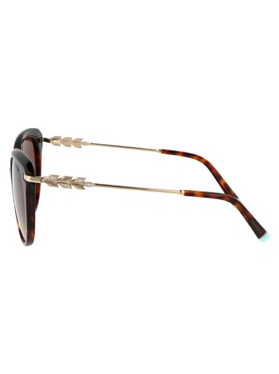 Tiffany & Co Cat Eye Sunglasses 0 Tf4189 B 80023 B In 80023b Havana