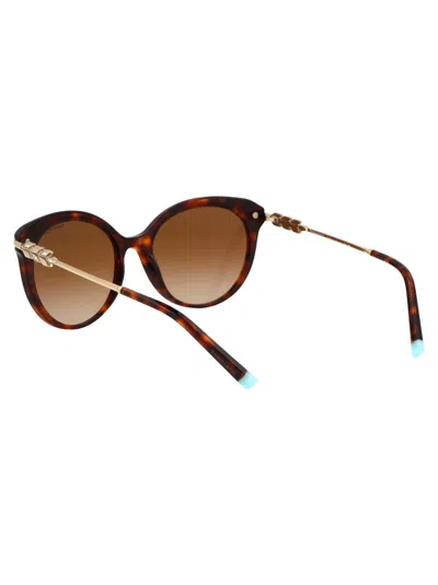 Tiffany & Co Cat Eye Sunglasses 0 Tf4189 B 80023 B In 80023b Havana
