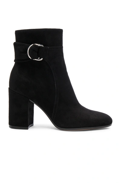 Shop Gianvito Rossi Suede Belted Ankle Boots In Black