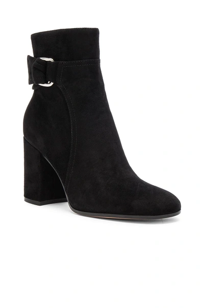 Shop Gianvito Rossi Suede Belted Ankle Boots In Black