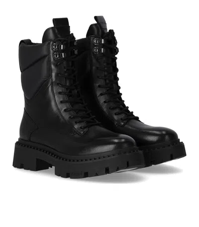 Ash Gotta Black Combat Boot