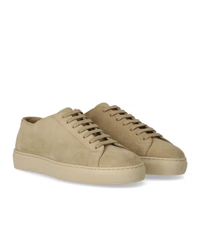 Doucal's Beige Suede Sneaker In Multi