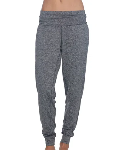 Body Glove Dojo Sweatpants In Bgs Grey In Multi