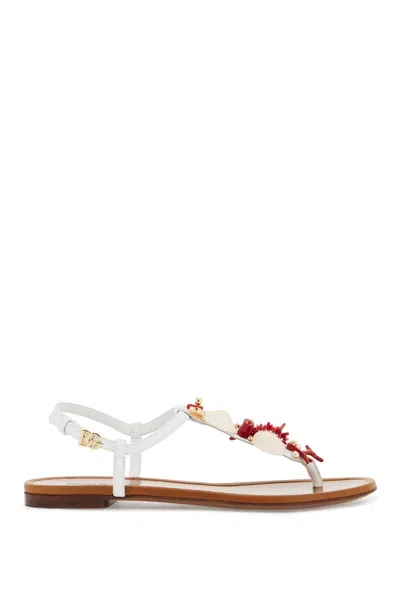 Shop Dolce & Gabbana Infradito In Nappa Con Coralli In White