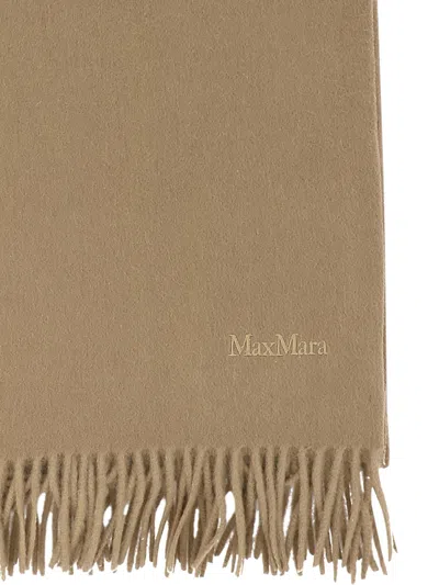 Shop Max Mara Cashmere Stole With Embroidery In Brown