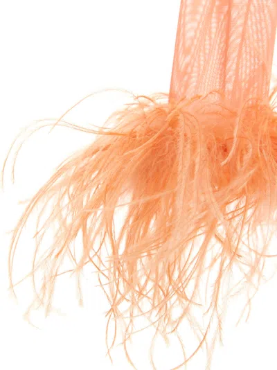 Oseree Feather Transparent Mesh Bodysuit Underwear And Body Pink