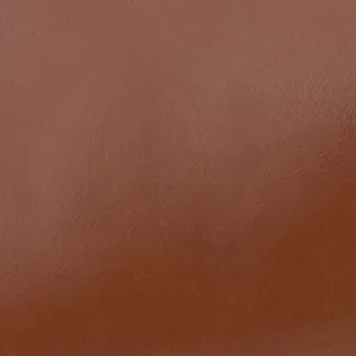 Isabel Marant Womens Cogc Oskan Moon Leather Shoulder Bag In Cognac