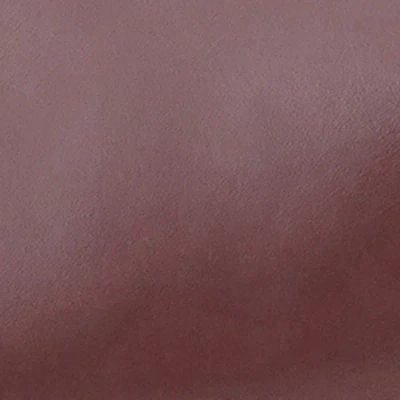 Isabel Marant Oskan Moon Bag In Burgundy