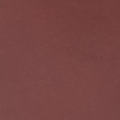 Isabel Marant Skano Belt Bag In Burgundy