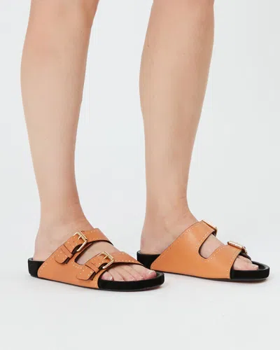 Isabel Marant Open Toe Flat Sandals In Brown