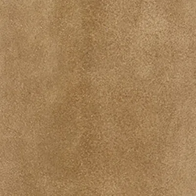 Isabel Marant Denvee Boots In Taupe
