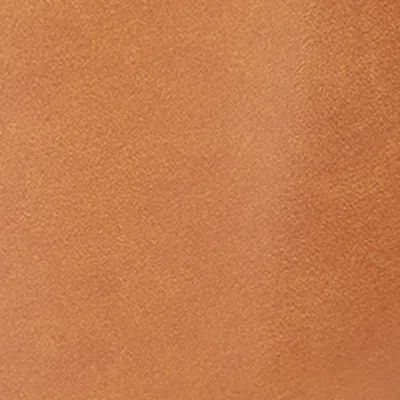 Isabel Marant Skano Gz Shoulder Bag In Cognac