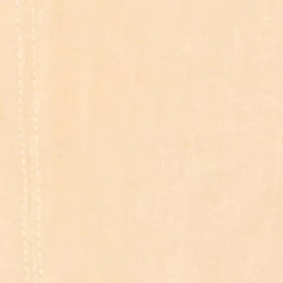 Isabel Marant Oberteil Mustee In Straw