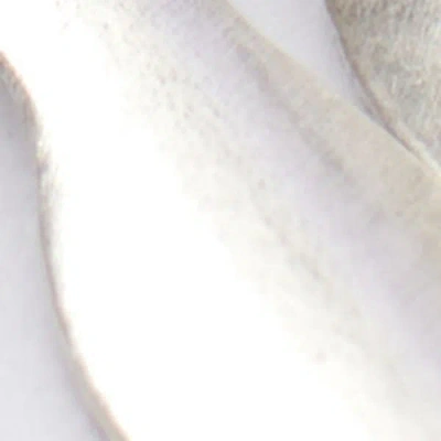 Isabel Marant Metal Shiny Leaf Bracelet In Silver