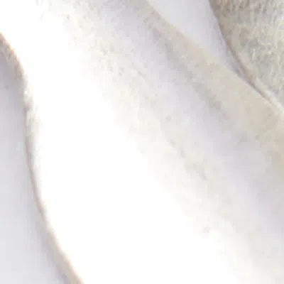 Isabel Marant Metal Shiny Leaf Bracelet In Silver