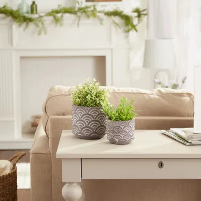 Actifo Cement Flower Pot Set Taupe Scallop Design - Brown