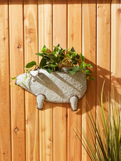 Actifo Wall Planter Pig - Grey