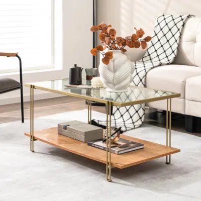 Hivvago 2 Tiers Rectangle Glass Coffee Table With White And Gold Steel Frame-golden
