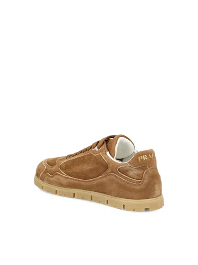 Shop Prada Sneakers In Cinnamon