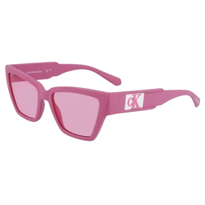 Shop Calvin Klein Sunglasses In Pink