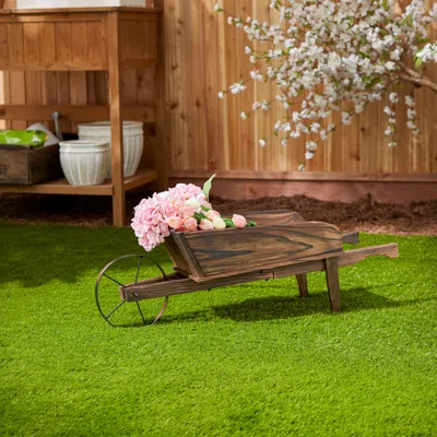 Actifo Old-fashioned Wheelbarrow Planter - Brown