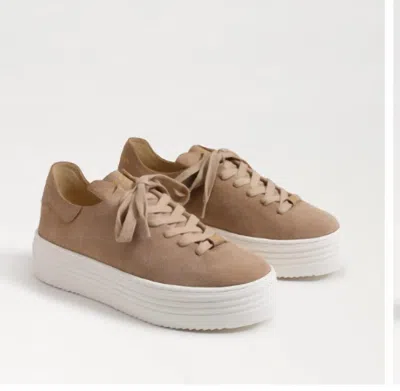 Sam Edelman Pippy Lace Up Platform Sneaker Taupe Suede In Brown