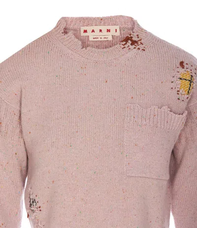 Shop Marni Sweaters In Pink