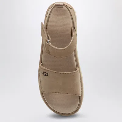 Shop Ugg Beige Goldenstar Sandals