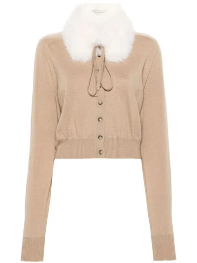 Sportmax Detachable Collar Cardigan In Brown