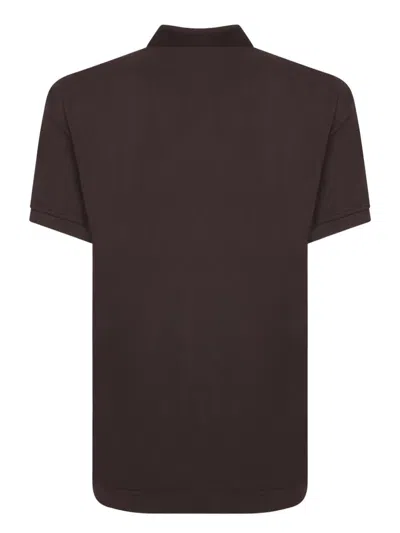 Dolce & Gabbana T-shirts In Brown