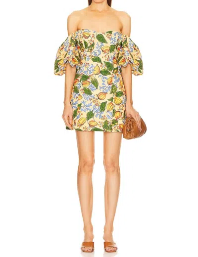 Rhode Dali Mini Dress In Capri Orchard Orange Floral In Multi