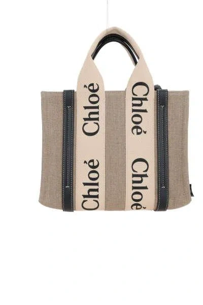 Shop Chloé Chloè Bags In White+blue 1