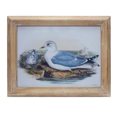Houzbling Framed Bird Print 16.5"l X 13"h Wood/glass
