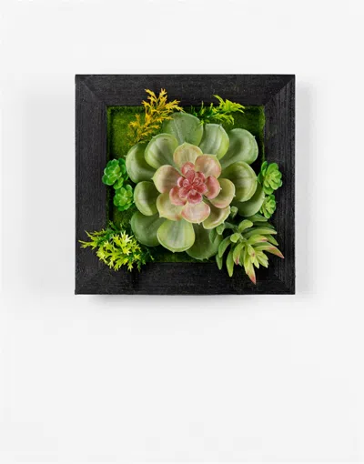 Houzbling Hanging Succulent Wall Decor (set Of 6) Plastic