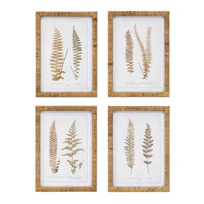 Houzbling Framed Fern Print (set Of 4) 17.75"sq Wood/mdf/glass
