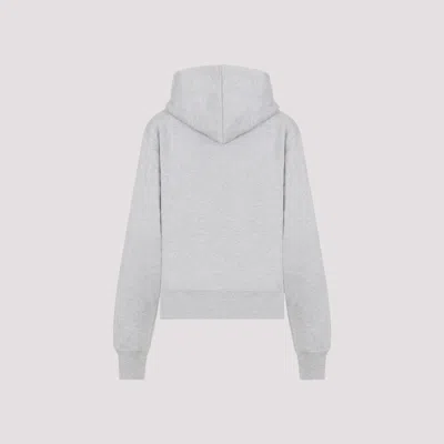 Shop Saint Laurent Hoodie Clothing In Grey