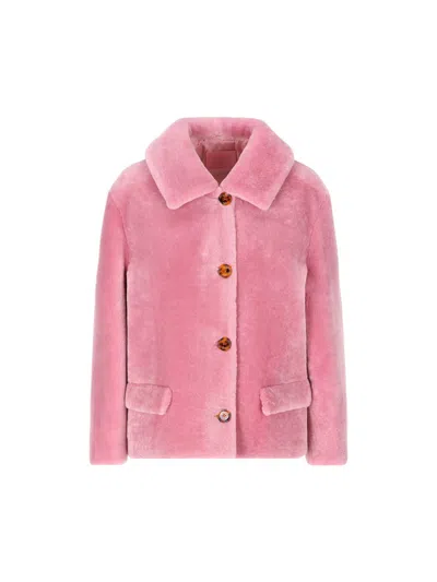 Prada Single-breasted Shearling Jacket In Begonia