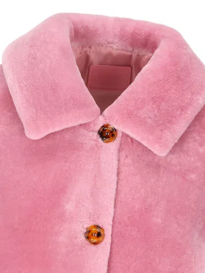 Prada Single-breasted Shearling Jacket In Begonia