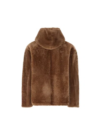 Prada Jackets In Brown