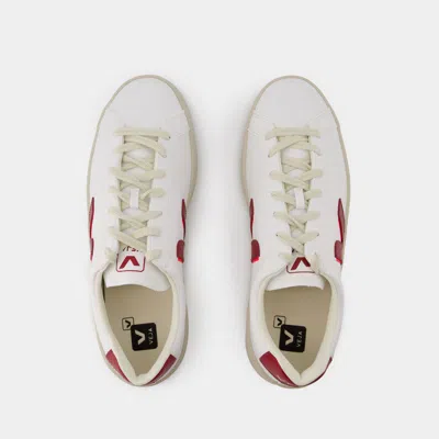 Shop Veja Urca W Sneakers In White