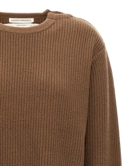 Extreme Cashmere Sweater In Brown