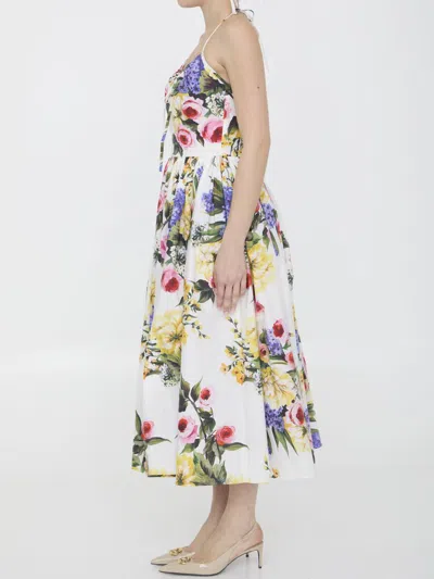 Shop Dolce & Gabbana Garden-print Dress In Multicolor