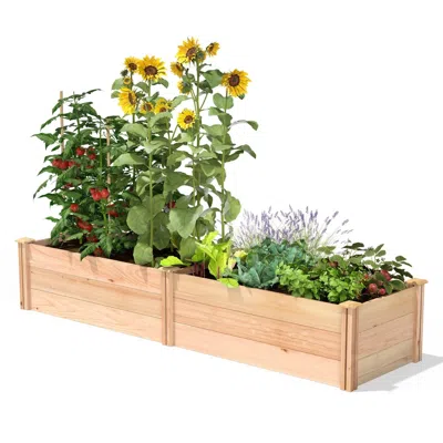 Quikfurn 2 Ft X 8 Ft Tall Cedar Wood Raised Garden Bed - Made In Usa