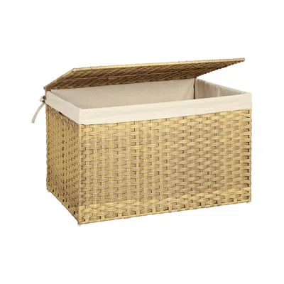 BREEBE STORAGE BASKET WITH LID, 42.3 GALLON (160L) STORAGE BIN 