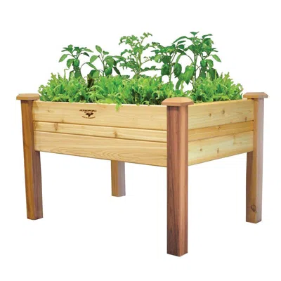 Quikfurn Elevated 2ft X 4-ft Cedar Wood Raised Garden Bed Planter Box - Unfinished