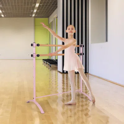Hivvago 4 Foot Portable Freestanding Double Ballet Barre-pink